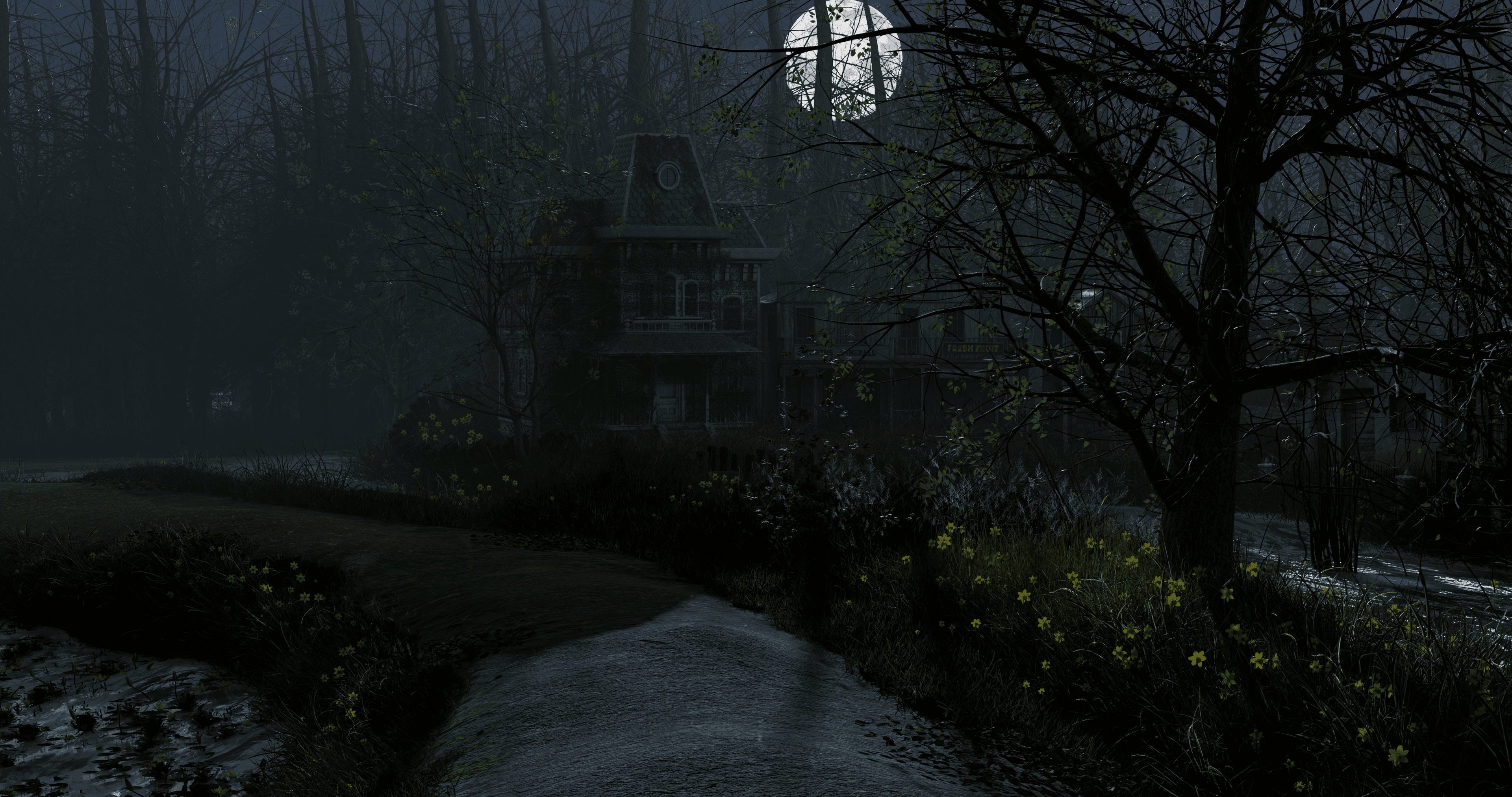 Forest 01