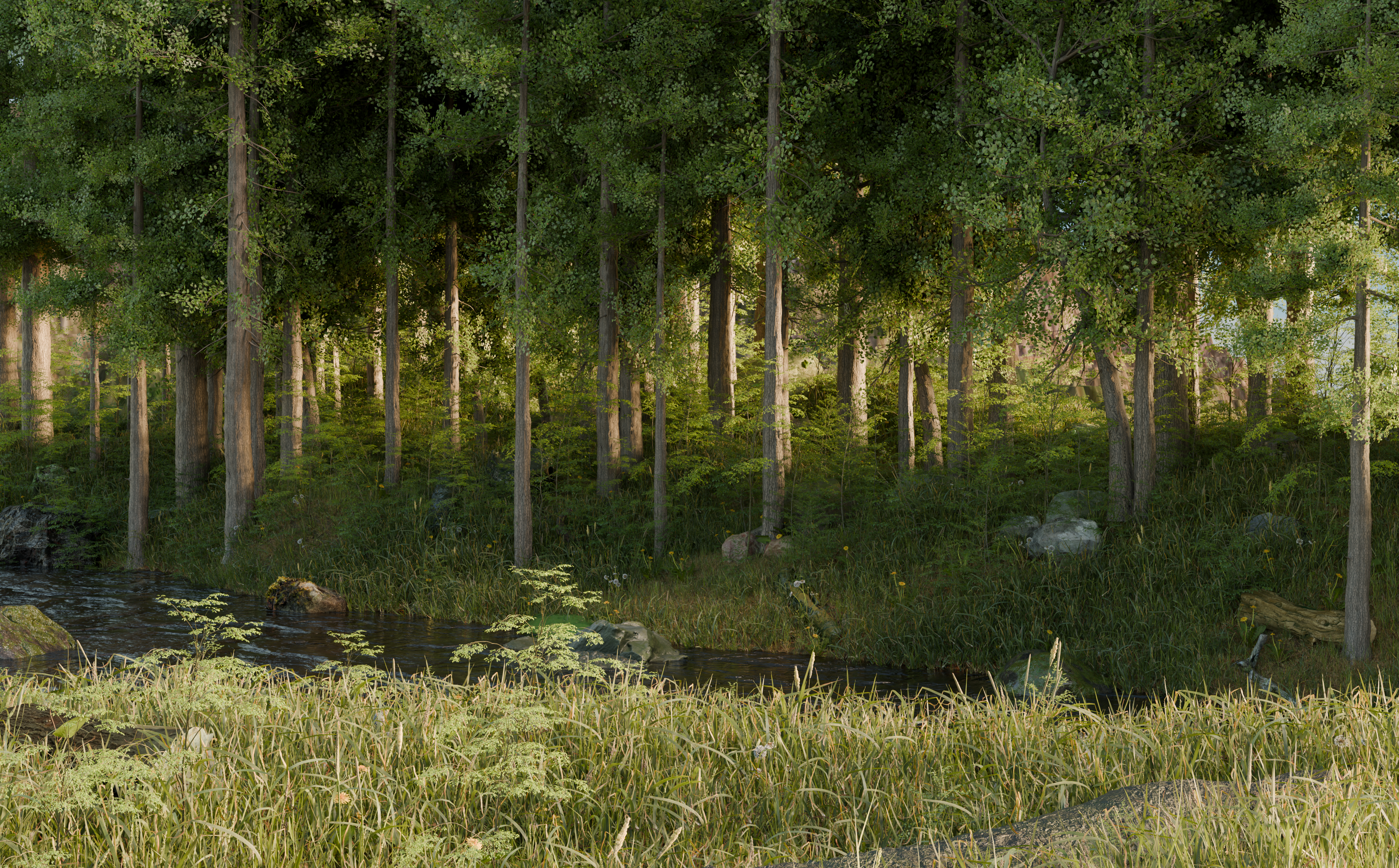 Forest 02
